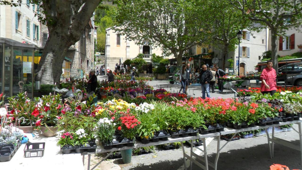 Residence De Plein Air Panoramique A La Porte Des Gorges Du Verdon Castellane Exterior photo